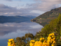 Loch Ness Mirror