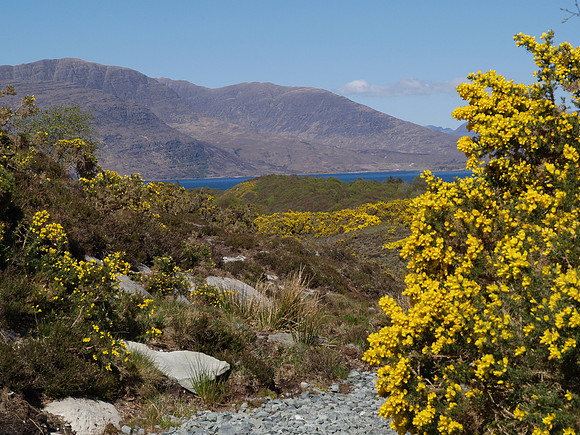 Distant Applecross Peninsula