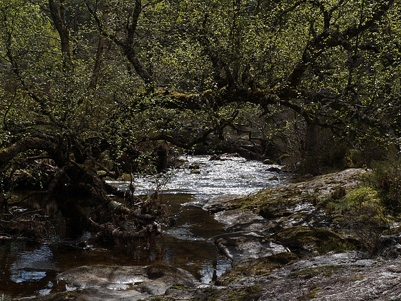 River Farrar
