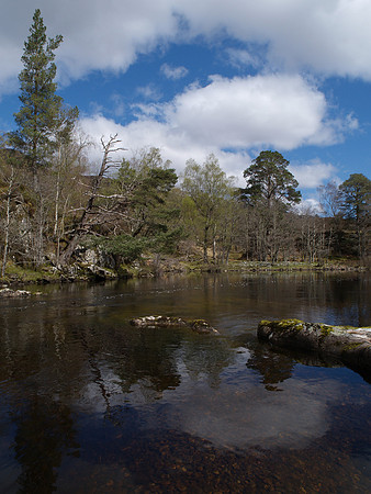 River Farrar Reflection