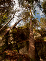 Craig Monie From Below
