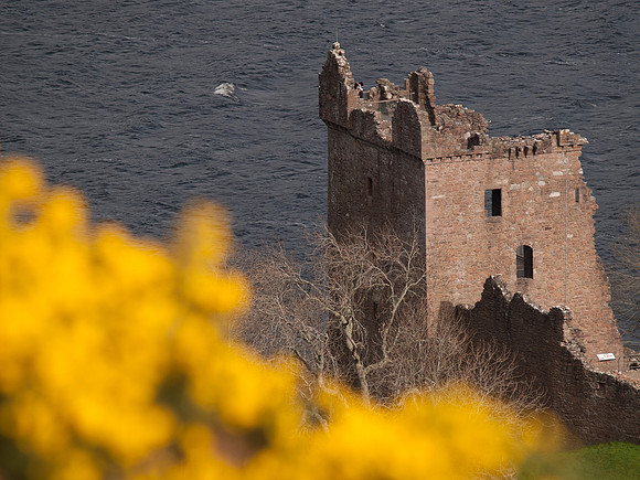 Urquhart Castle & Gorse