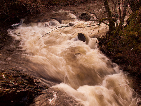 Glen Coiltie