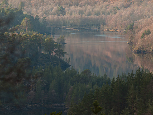 Glen Affric