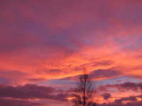 Pink Sky