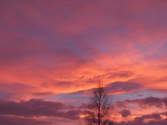 Pink Sky