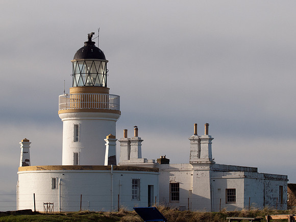 20120128-Chanonry Point-Q1286217