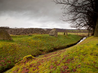 Corrimony Cairn and Standing Stones