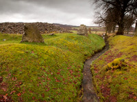 Corrimony Cairn and Standing Stones
