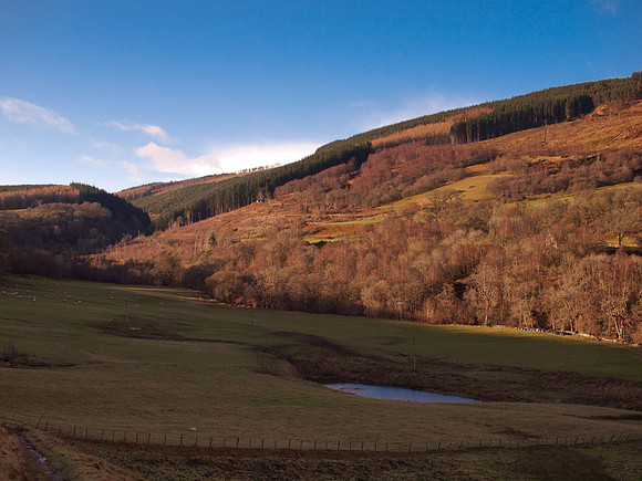 Glen Coiltie