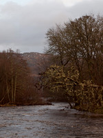 River Enrick