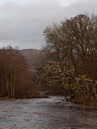 River Enrick