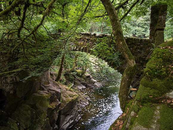 River Braan