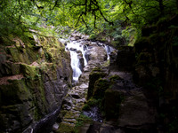 River Braan