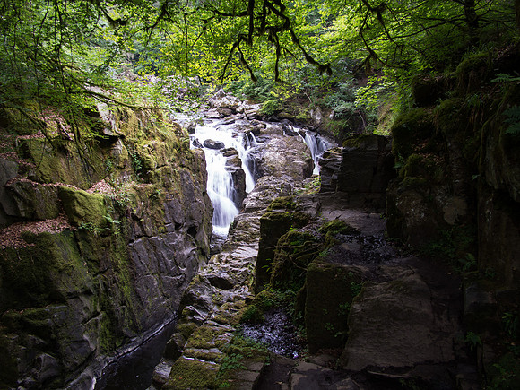 River Braan