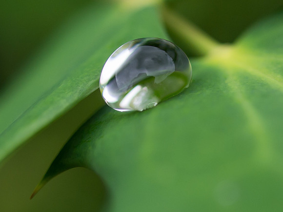 20130812-Droplet-R8127589