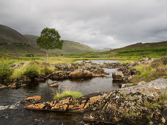 Glen Cannich