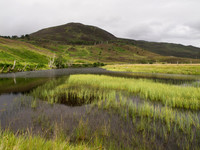 Glen Cannich