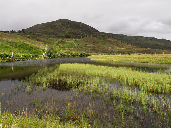 Glen Cannich