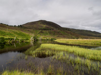 Glen Cannich