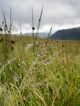 20130825-Sgorr na Diollaid-V8250027