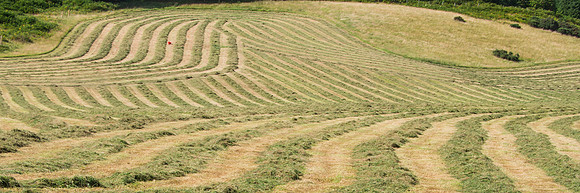 20130831-Balmacaan-V8310024