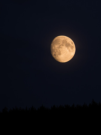 20130818-Moon-V8180009