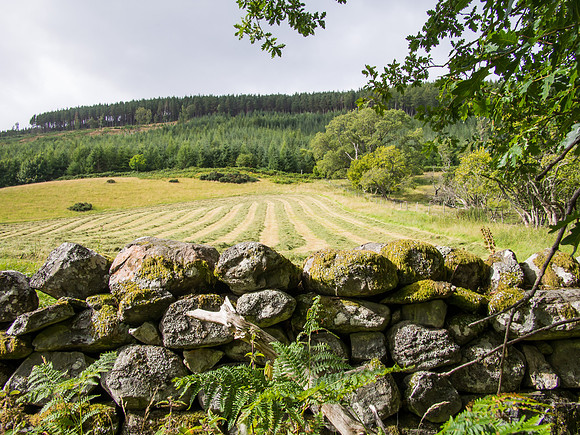 20130831-Balmacaan-V8310015