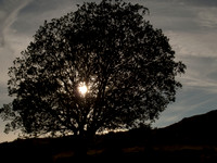 20100831-Mullardoch-P8319103
