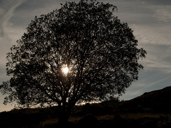 20100831-Mullardoch-P8319103