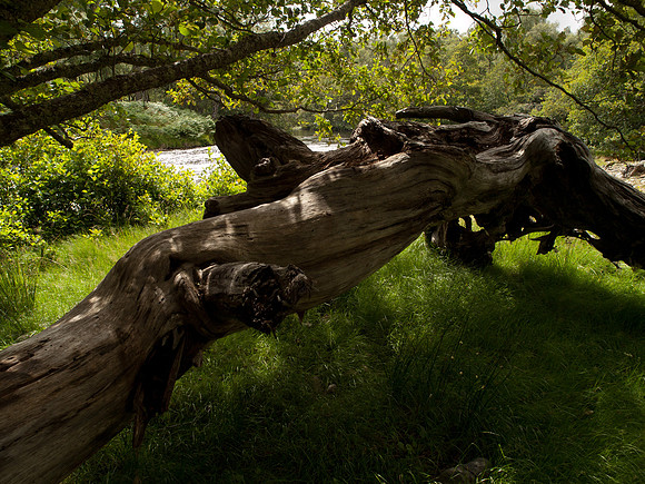 20100803-Glen Strathfarrar-P8038745