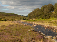 20100814-Corrimony-P8148961