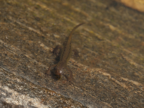 20100808-untitled-P8088858