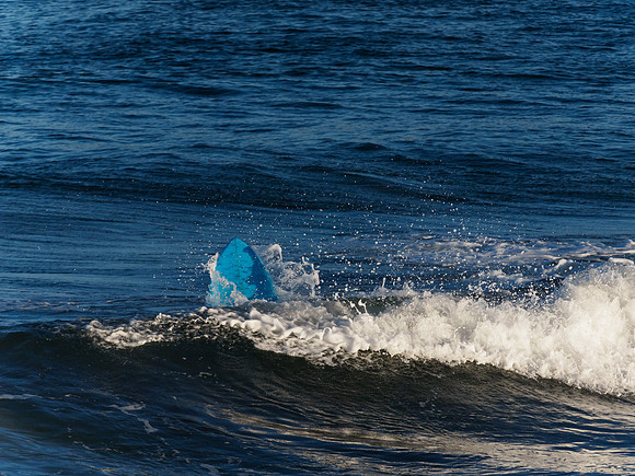 20131229-Sandend Surfers-RC299681