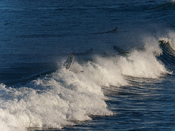 20131229-Sandend Surfers-RC299577