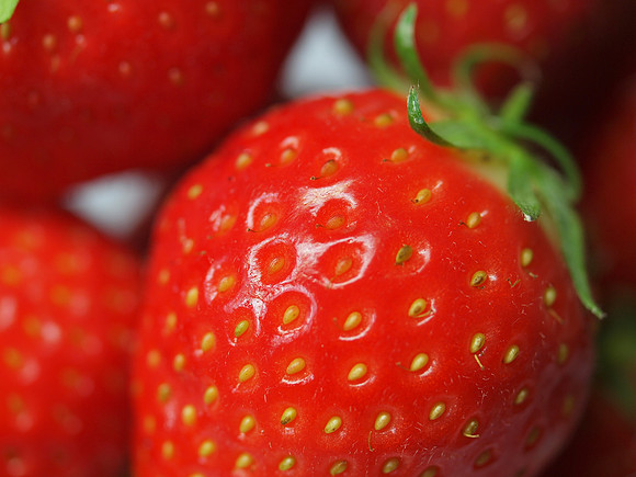 20110512-Strawberry-Q5120699