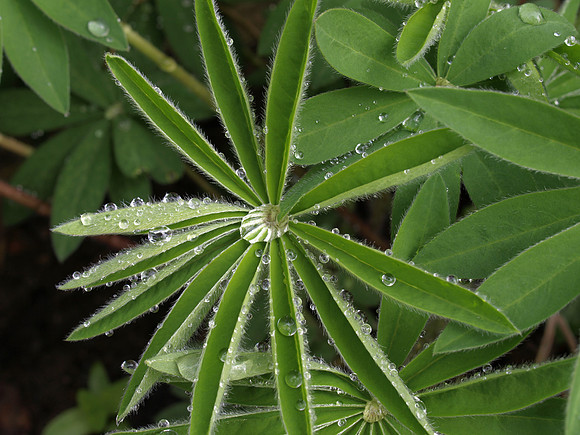 Macro_0810