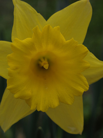 Macro_0846