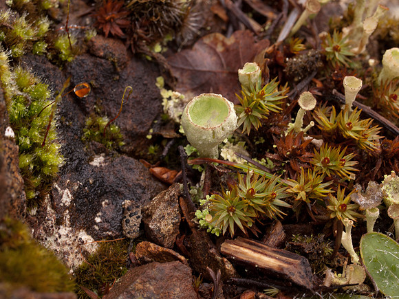 20110214-Grotaig-P2140604