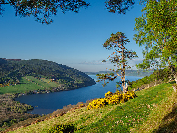 Loch Ness Postcard [1904075]