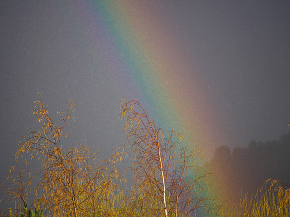 Pot of Gold [1904001]