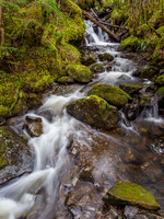 Mossy Falls [1904002]