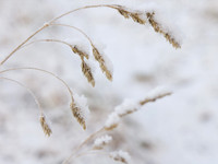 20121202-Corrimony-RC022177