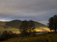 20121209-Borlum-SC090239