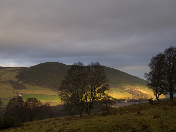 20121209-Borlum-SC090239