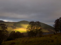 20121209-Borlum-SC090237