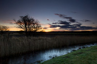 20121216-Moray-RC162199