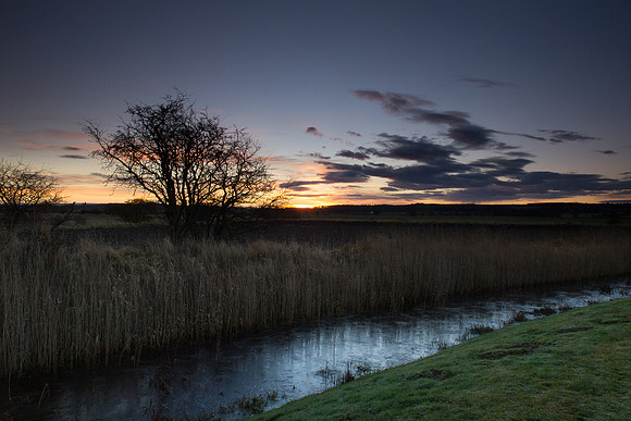20121216-Moray-RC162199