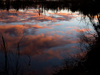 20121216-Moray-RC162260