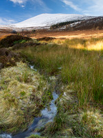20121216-Moray-RC162242